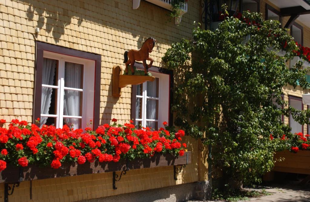 Hotel Schwarzwald-Gasthof Roessle Todtmoos Luaran gambar