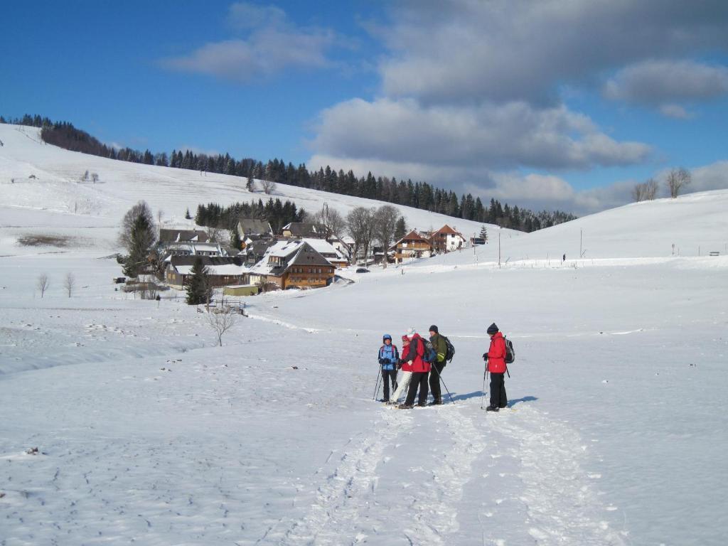 Hotel Schwarzwald-Gasthof Roessle Todtmoos Luaran gambar