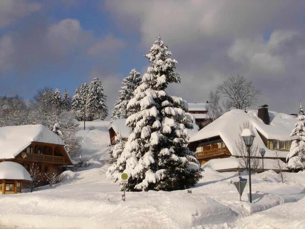 Hotel Schwarzwald-Gasthof Roessle Todtmoos Luaran gambar